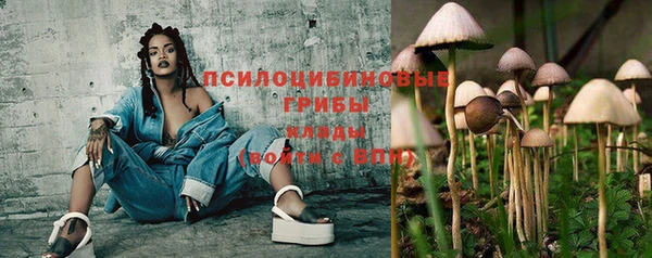 марки lsd Гусиноозёрск