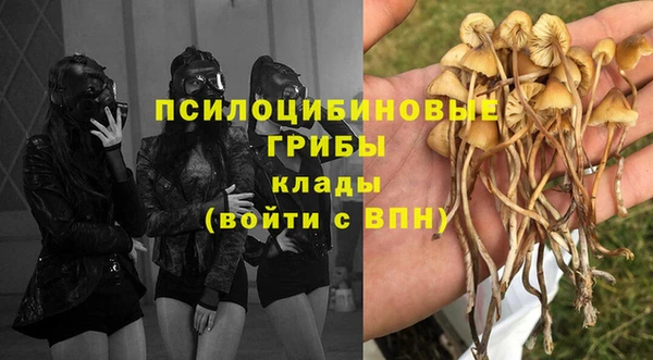 марки lsd Гусиноозёрск