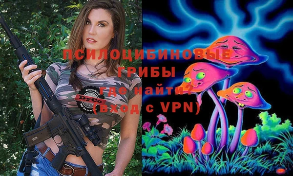марки lsd Гусиноозёрск