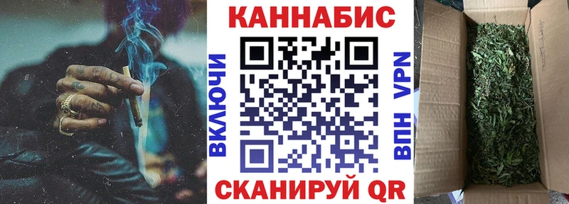 Марихуана план  сайты даркнета Telegram  Брянск 